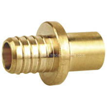 Brass Equal Pipe Nipple Fitting (a. 0422)